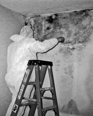 commercial mold remediation and water cleanup in the midwest