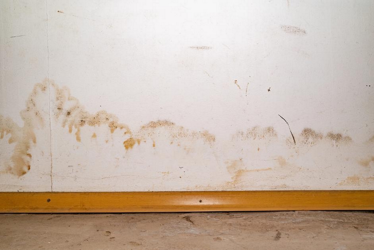 Does Wet Drywall Always Need to Be Replaced?